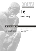 Tài liệu Frame Relay ppt