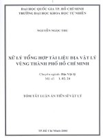Luận án tiến sĩ Xử lý tổng hợp tài liệu địa lý vật lý vùng thành phố Hồ Chí Minh