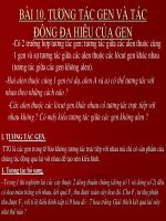 Tài liệu Bài 10: Tương tác gen và đa hiệu của gen pptx