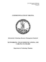 Tài liệu Cabling Standard - (Private) - State of Virginia - IT Resource Management Standard ppt