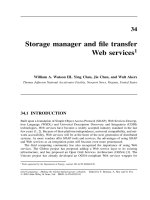 Tài liệu Grid Computing P34 pdf