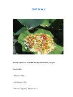 Tài liệu Xôi lá sen pptx