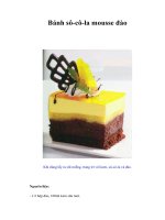Tài liệu Bánh sô-cô-la mousse đào doc