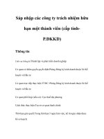 Tài liệu Sáp nhập các công ty trách nhiệm hữu hạn một thành viên (cấp tỉnhP.ĐKKD) pptx