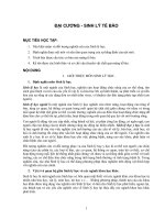 ĐẠI CƯƠNG - SINH LÝ TẾ BÀO