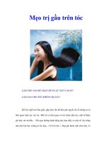 Tài liệu Mẹo trị gầu trên tóc pdf