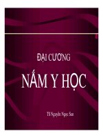 Tài liệu Ký sinh trùng - Đại cương nấm y học (Phần 1) ppt