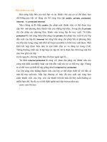 Tài liệu Kế Thừa-Đa Hình phần 2 ppt