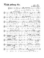 Tài liệu Bài hát kiếp phong ba - Minh Khang (lời bài hát có nốt) doc