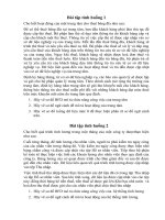 Tài liệu Bài tập tình huống Hệ thống thông tin quản lý pdf