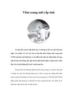 Tài liệu Viêm xoang mũi cấp tính ppt