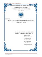 BẢO LÃNH TẠI CÁC NGÂN HÀNG THƯƠNGMẠI VIỆT NAM