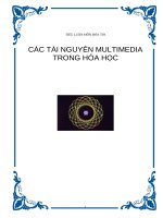 Tài liệu Tiểu luận môn Hóa Tin “Các tài nguyên Multimedia trong Hoá học” ppt
