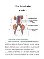 Tài liệu Ung thư đại tràng ( Phần 2) ppt