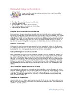 Tài liệu Hãy tạo sự thoải mái trong mùa kiểm toán bận rộn ppt