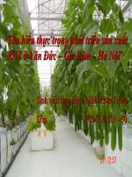 Tài liệu Đề tài 