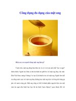 Tài liệu Công dụng đa dạng của mật ong ppt
