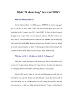 Tài liệu Bệnh “đi khom lưng” do virut CHIKV ppt