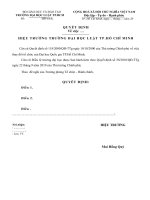 MẪU QUYẾT ĐỊNH 