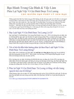 Tài liệu Bạo hành trong gia đình và việc làm pptx