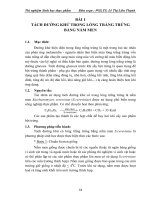 Tài liệu Sinh học thực phẩm_Bài 3 ppt