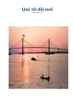 Tài liệu Quê tôi đổi mới ppt