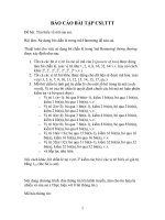 Báo cáo cơ sở lý thuyết truyền tin