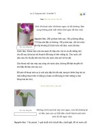 Tài liệu các loại thức uống bổ dưỡng pptx