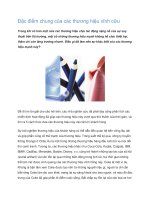 Tài liệu Đặc điểm chung của các thương hiệu vĩnh cữu docx