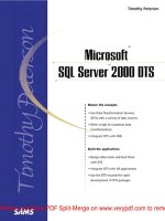 Tài liệu Microsoft SQL Server 2000 Data Transformation Services- P1 ppt