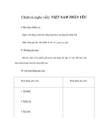 Tài liệu Chính tả (nghe viết): VIỆT NAM THÂN YÊU pdf