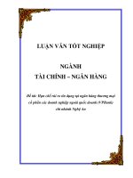 Luận văn Hạn chế rủi ro tín dụng tại ngân hàng thương mại cổ phần các doanh nghiệp ngoài quốc doanh (VPBank) chi nhánh Nghệ An