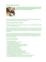 Tài liệu Một cuộc phỏng vấn hoàn hảo pptx