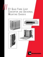 Tài liệu E1 QUAD FIBRE LOOP CONVERTER AND UNIVERSAL MOUNTING CHASSIS doc