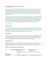 Tài liệu Nhận biết và tiếp cận công cụ tài chính phái sinh ppt