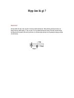 Tài liệu Hợp âm là gì ? doc