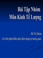 Tài liệu Bài tập nhóm môn Kinh tế lượng pptx