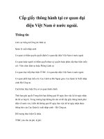 Tài liệu Cấp giấy thông hành tại cơ quan đại diện Việt Nam ở nước ngoài pptx