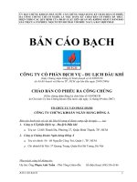 Tài liệu CÔNG TY CỔ PHẦN DỊCH VỤ - DU LỊCH DẦU KHÍ ppt