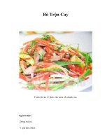 Tài liệu Bò Trộn Cay pptx