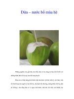 Tài liệu Dừa – nước bổ mùa hè pdf