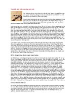 Tài liệu Thúc đẩy phát triển các công ty tư vấn pptx