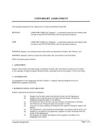 Tài liệu COPYRIGHT ASSIGNMENT pdf