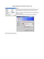 Tài liệu Nâng Cấp Firmware Mới Cho Linksys Ap pdf