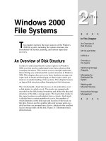 Tài liệu Windows 2000 File Systems ppt