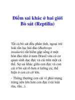 Tài liệu Điểm sai khác ở hai giới Bò sát (Reptilia) docx