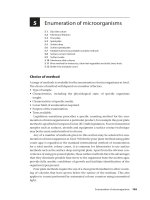 Tài liệu Practical Food Microbiology 3rd Edition - Part 5 pptx