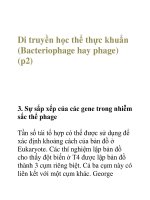 Tài liệu Di truyền học thể thực khuẩn (Bacteriophage hay phage) (p2) ppt