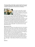 Tài liệu DS Mien nam pptx