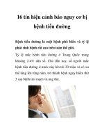 Tài liệu 16 tín hiệu cảnh báo nguy cơ bị bệnh tiểu đường docx